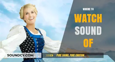 Where to Watch 'The Sound of Music': Streaming & Viewing Guide