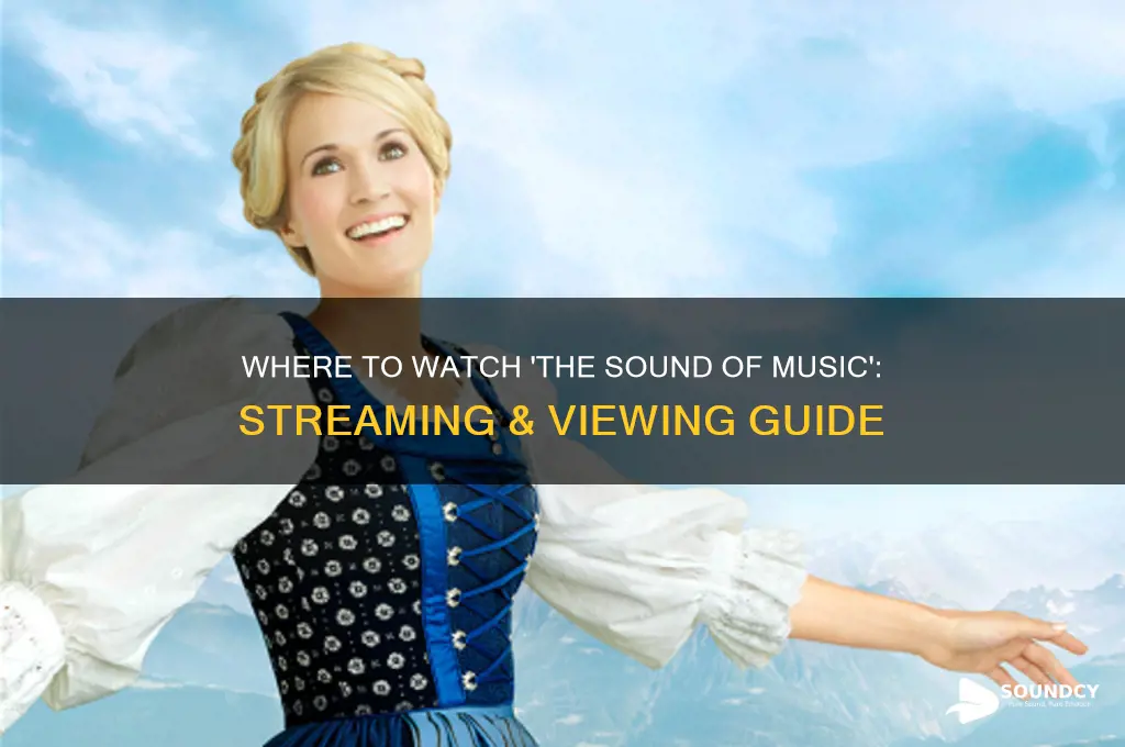 where to watch sound of