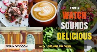 Where to Watch Sounds Delicious: Top Platforms for Foodie Shows