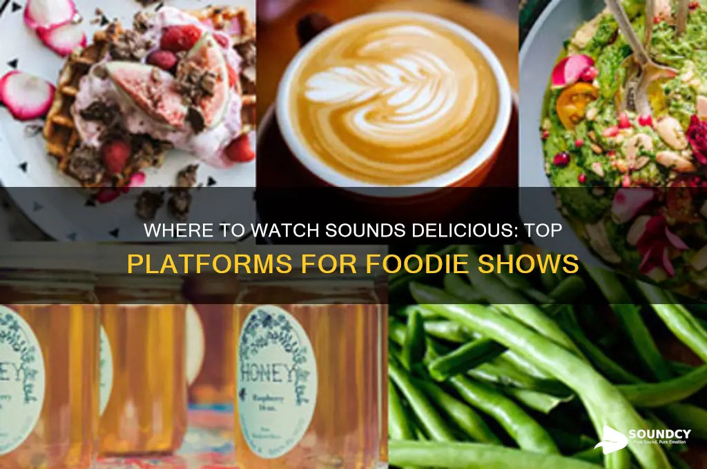 where to watch sounds delicious