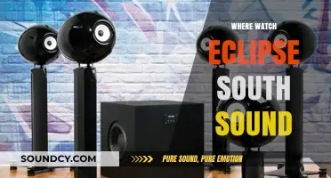 South Sound Eclipse Viewing: Best Spots to Watch the Celestial Event