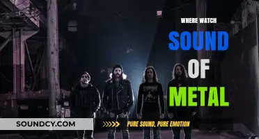 Where to Stream Sound of Metal: Top Platforms to Watch