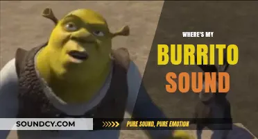 Where's My Burrito Sound? Unraveling the Mystery Behind the Viral Meme