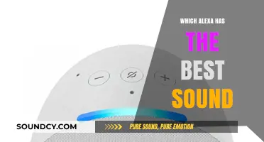 Alexa's Audio: Which Device Sounds Best?