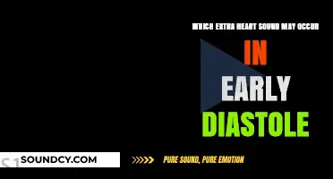 Early Diastolic Murmurs: Identifying the Extra Heart Sound in S1
