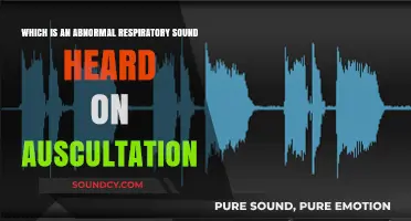 Unusual Breath Sounds: Identifying Abnormal Respiratory Noises on Auscultation