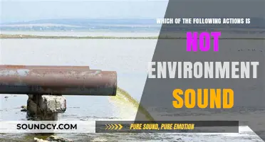 Unveiling Unsound Practices: Identifying Actions Harmful to Our Environment