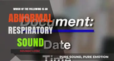 Identifying Abnormal Respiratory Sounds: What You Need to Know