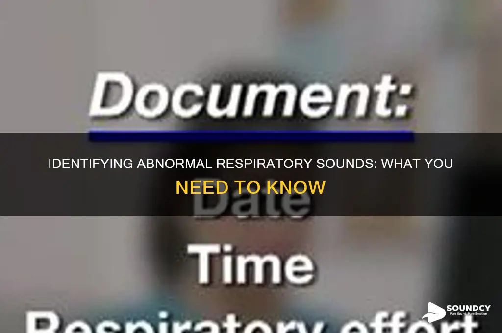 which of the following is an abnormal respiratory sound