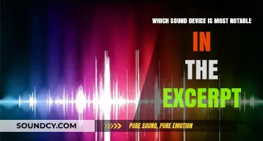Unveiling the Most Notable Sound Device in the Excerpt: A Literary Analysis