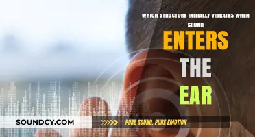 How Sound Waves First Vibrate the Ear's Delicate Structure