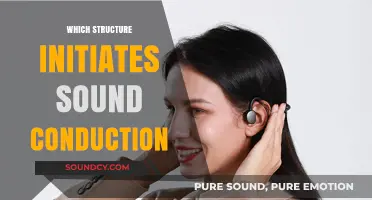 How the Ear's Complex Structure Initiates Sound Conduction and Hearing