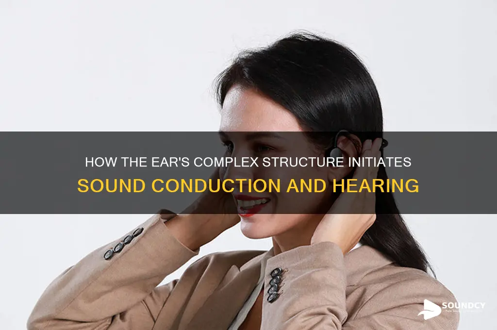 which structure initiates sound conduction