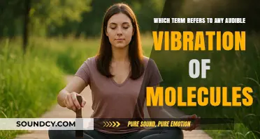 Understanding Sound: The Science Behind Audible Molecular Vibrations Explained