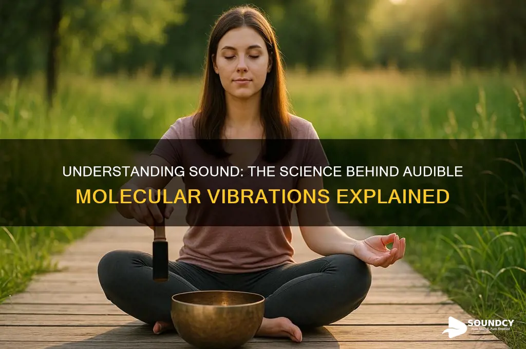 which term refers to any audible vibration of molecules