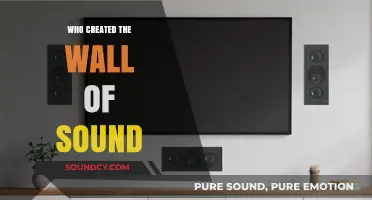 The Wall of Sound: Phil Spector's Musical Legacy