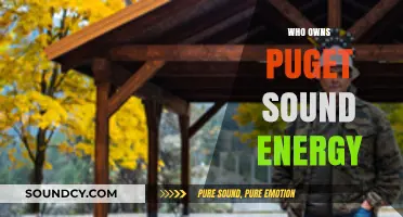 Unveiling Puget Sound Energy's Ownership: A Comprehensive Breakdown