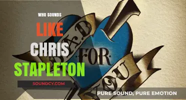 Artists Who Sound Like Chris Stapleton: Country Voices to Discover