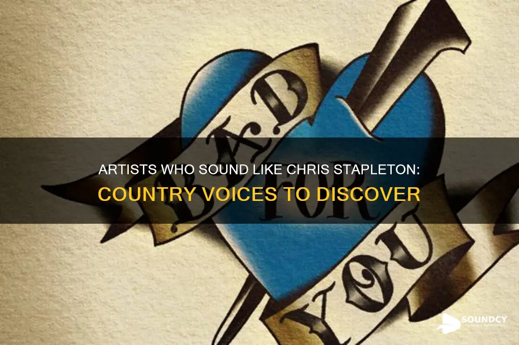 who sounds like chris stapleton