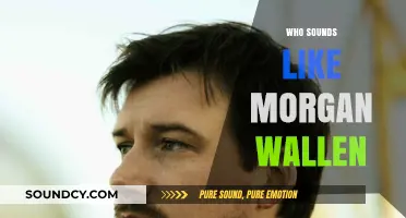 Artists Who Sound Like Morgan Wallen: Country Music's Rising Stars