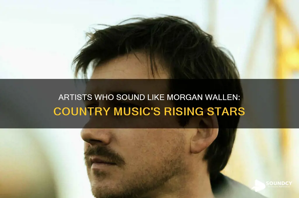 who sounds like morgan wallen