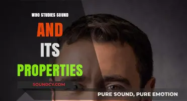 Scientists Uncover the Secrets of Sound