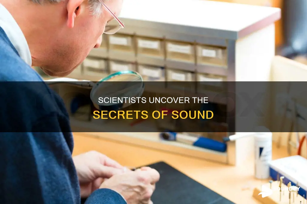 who studies sound and its properties
