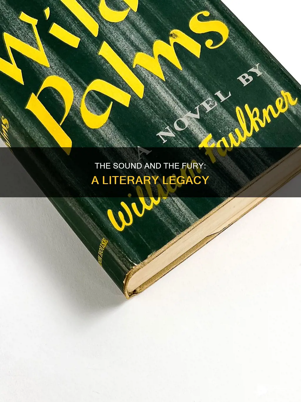 who wrote sound and the fury