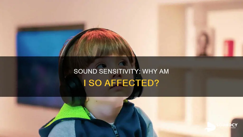 why am i sensitive to sound