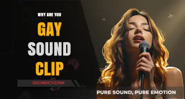 The "Why Are You Gay?" Sound Clip Explained