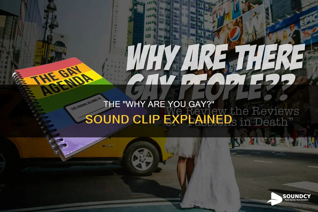 why are you gay sound clip