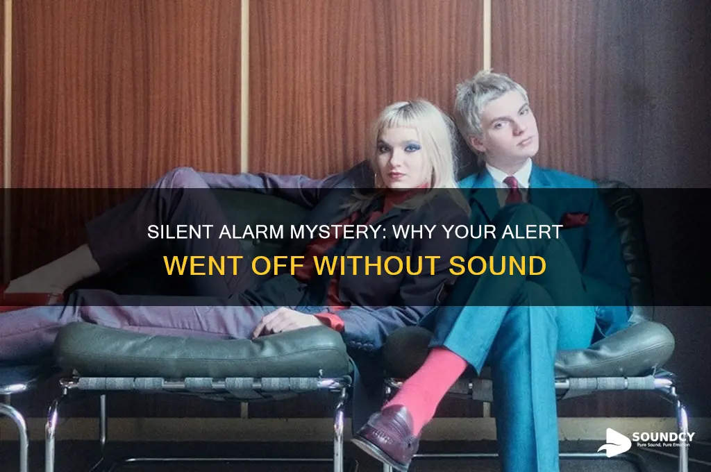 why did my alarm go off with no sound