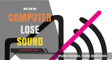 Troubleshooting Computer Sound Loss