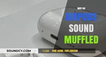 Why Do AirPods Sound Muffled? Troubleshooting Tips for Clear Audio