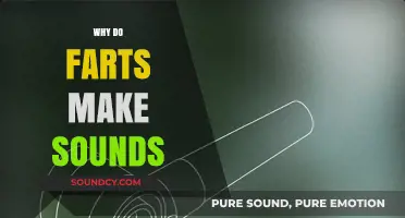 Why Do Farts Make Sounds? The Science Behind Flatulent Noises