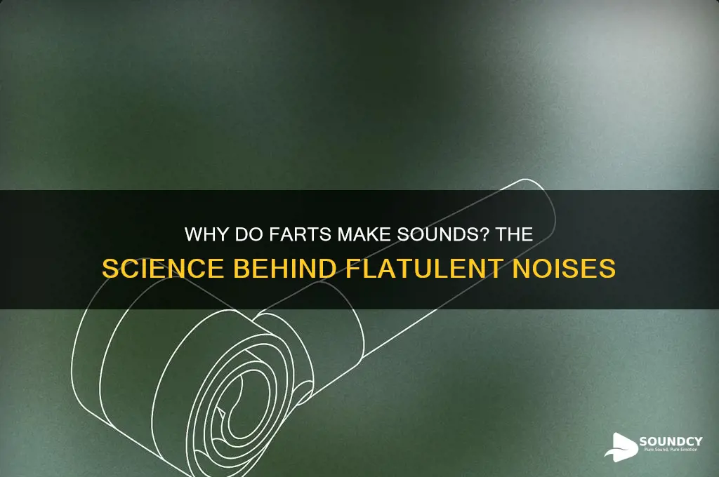 why do farts make sounds