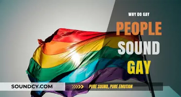 The Science Behind Gay Speech Patterns and Accents