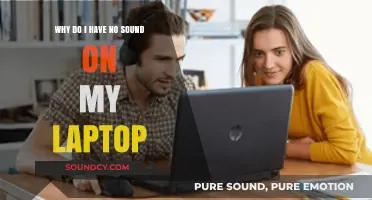 No Sound on Laptop? Troubleshooting Tips to Fix Audio Issues