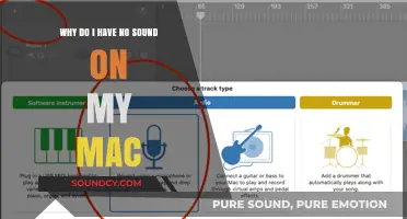 Why Is My Mac Silent? Troubleshooting No Sound Issues