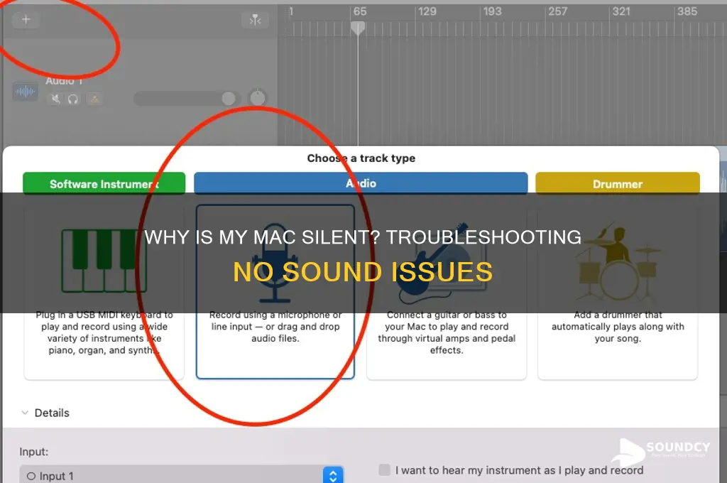 why do i have no sound on my mac