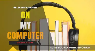 No Sound on Your Computer? Troubleshooting Tips to Fix Audio Issues