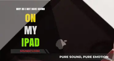 Troubleshooting iPad Sound Issues: Quick Fixes for No Audio