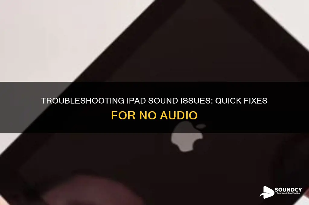 why do i not have sound on my ipad