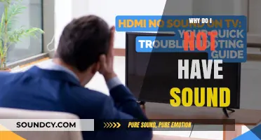 Troubleshooting Audio Issues: Why is My Sound Gone?