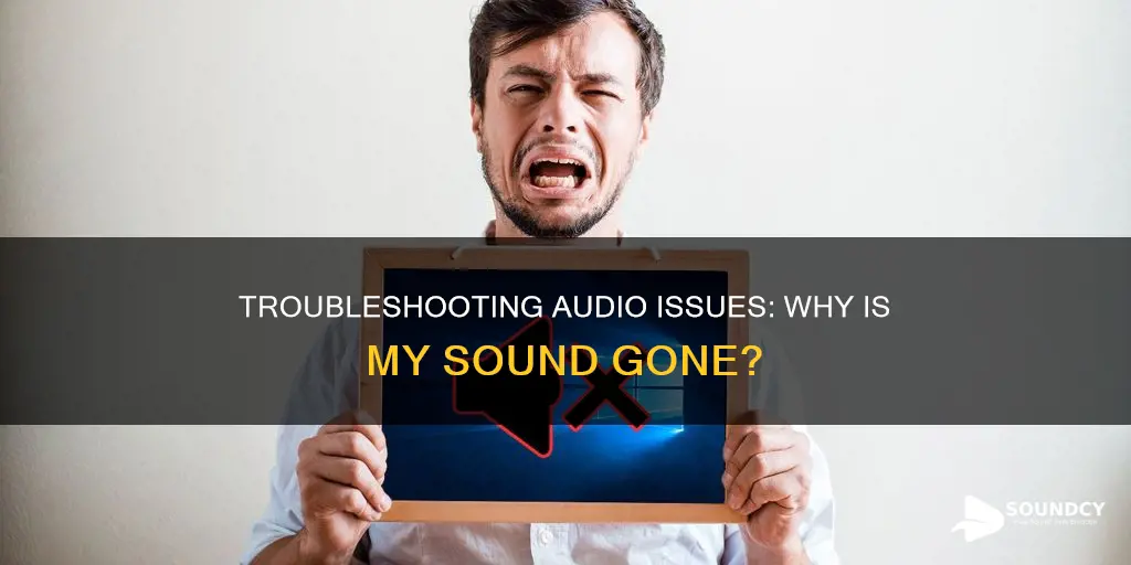 why do i not have sound