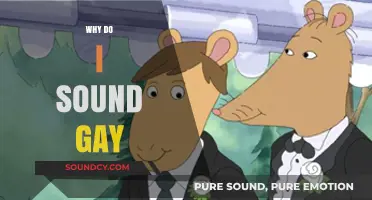Why Do I Sound Gay? Exploring Stereotypes, Identity, and Voice