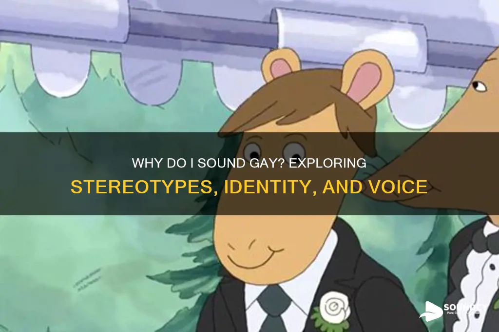 why do i sound gay