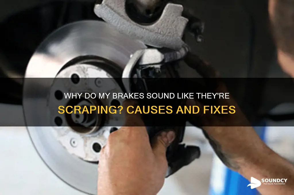 why do my brakes sound like they