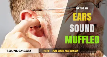 Muffled Hearing: Why Do My Ears Feel Clogged?