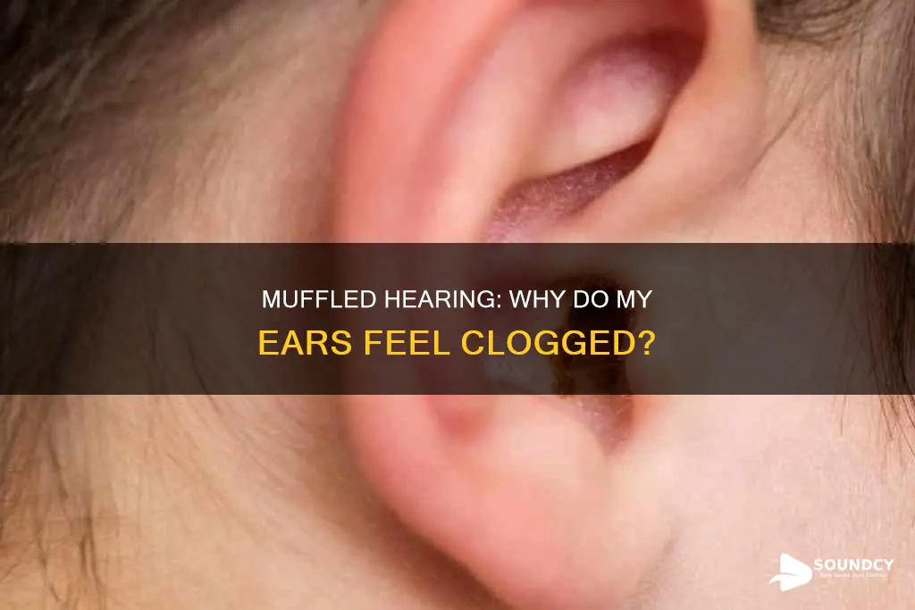 why do my ears sound muffled